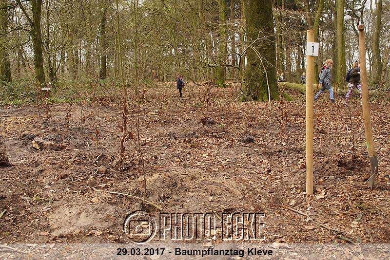 045.jpg