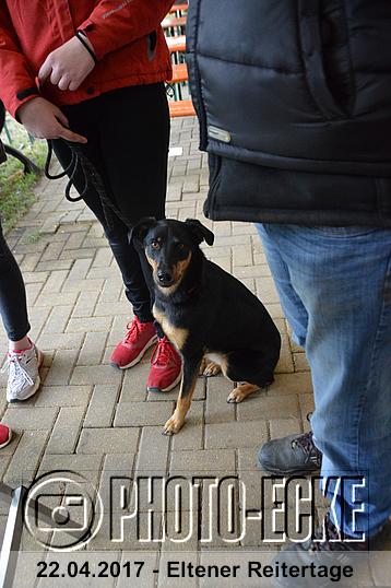080.jpg