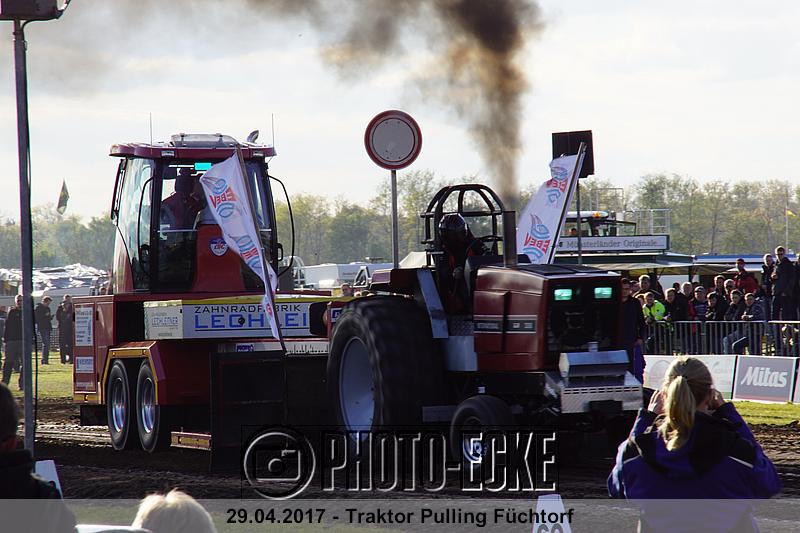 175.jpg