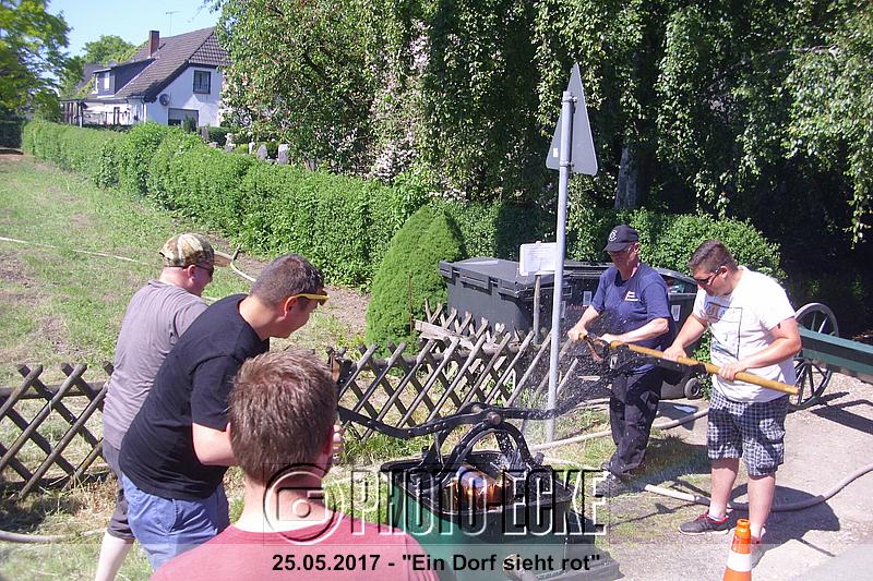 011.jpg
