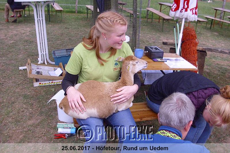 055.jpg
