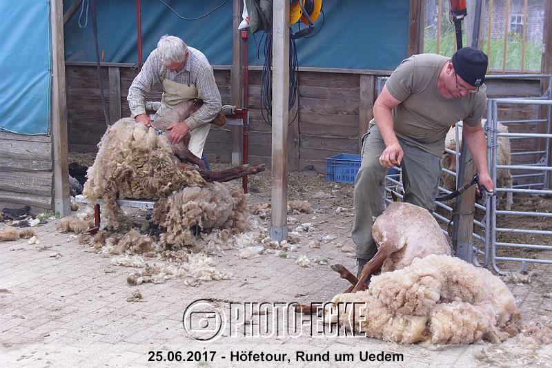 071.jpg