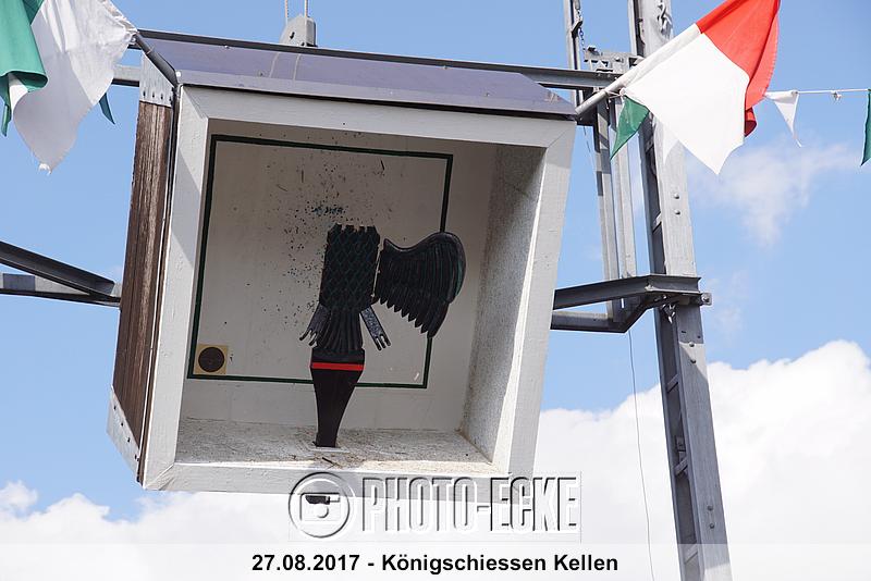 040.jpg