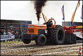 146.jpg