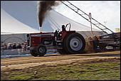 115.jpg